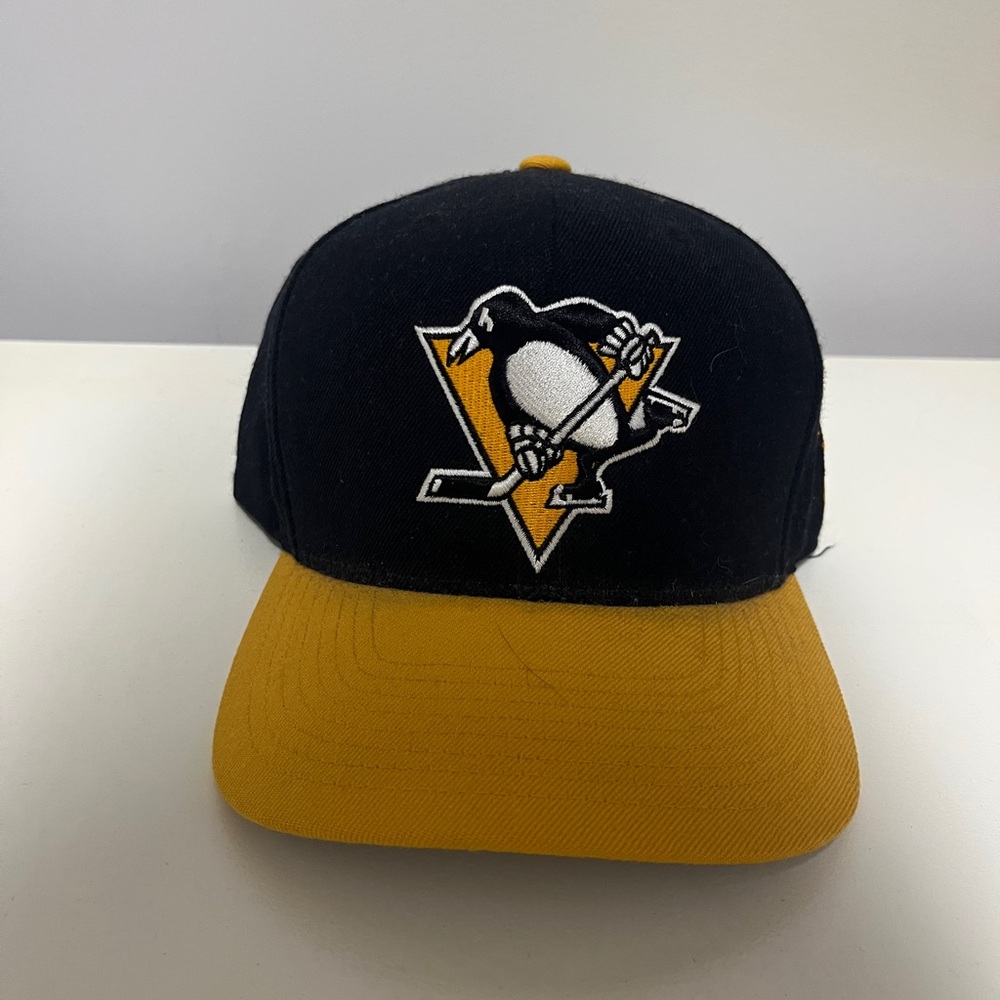 Pittsburgh Penguins Snap Back